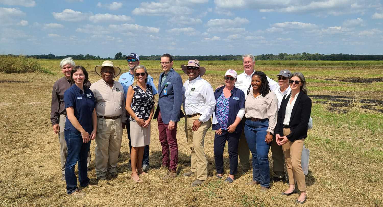 USA Rice's Climate Smart Commodity Grants