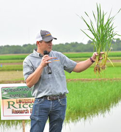 Blake Wilson, Associate Professor & Entomologist, LSU Agricultural Center