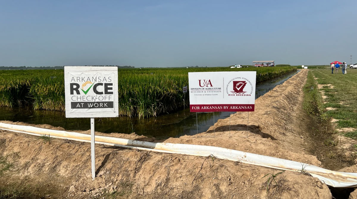The ROI of Rice Checkoff