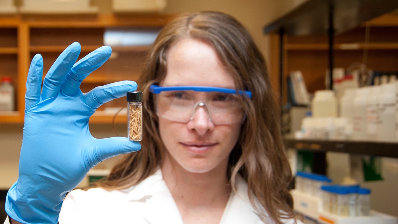 Rice, Resilience, Representation, and Research Mentors