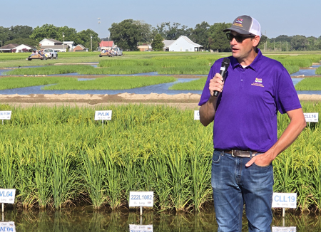 Dr. Adam Famoso, LSU AgCenter